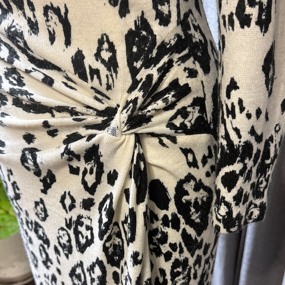 Leopard Print Long Sleeve Dress - Picture 3 of 11